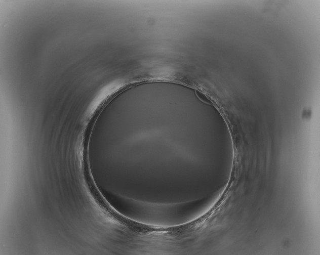 X0000094350054200711091501