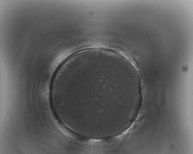 X0000094350055200711091501