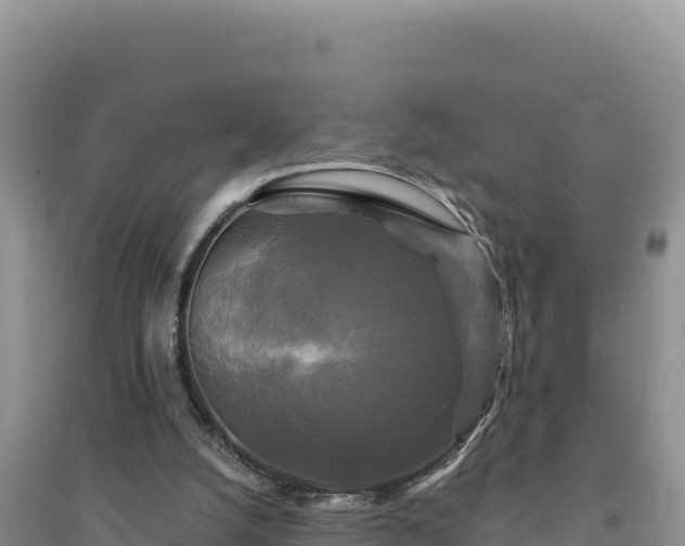 X0000094350056200711091501