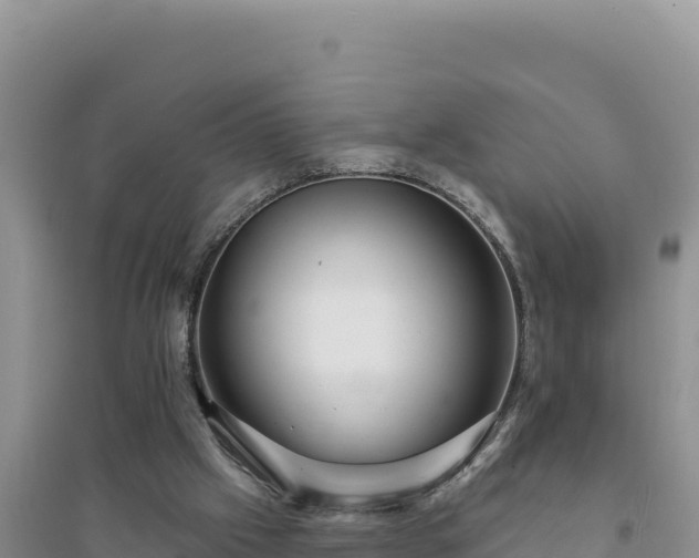 X0000094350057200711091501