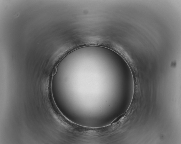 X0000094350058200711091501