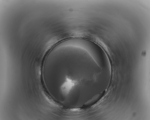 X0000094350059200711091501