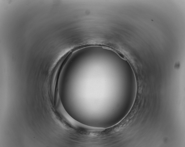 X0000094350060200711091501