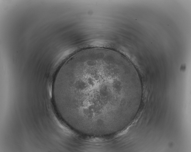 X0000094350062200711091501