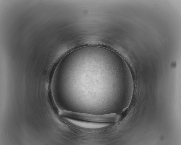 X0000094350063200711091501