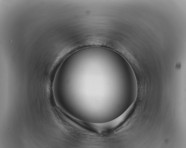 X0000094350064200711091502