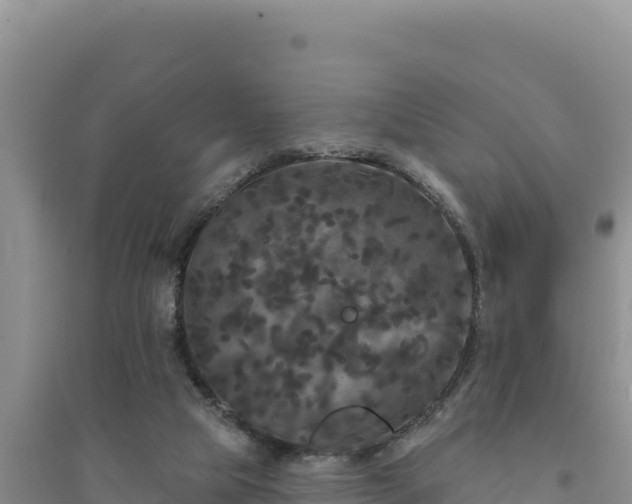 X0000094350065200711091502