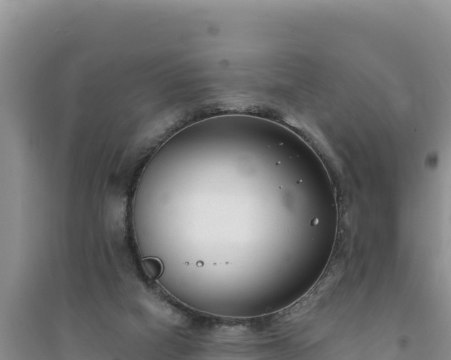 X0000094350066200711091502