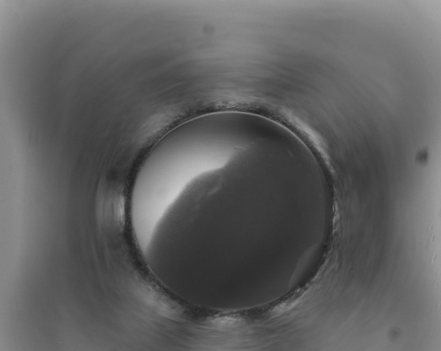 X0000094350067200711091502