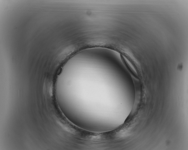 X0000094350068200711091502