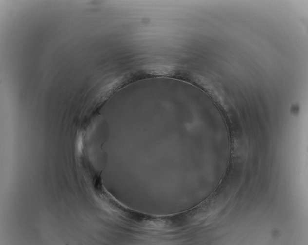 X0000094350069200711091502