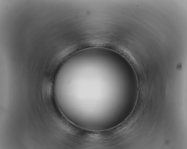 X0000094350071200711091502