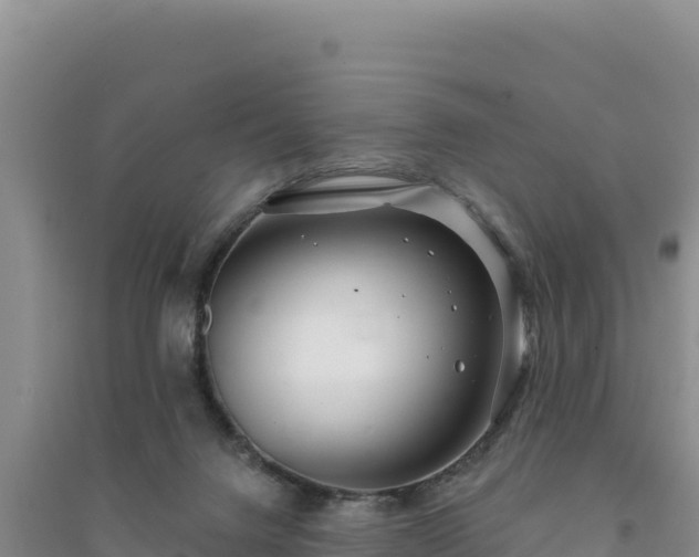 X0000094350072200711091502