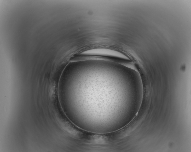 X0000094350073200711091502