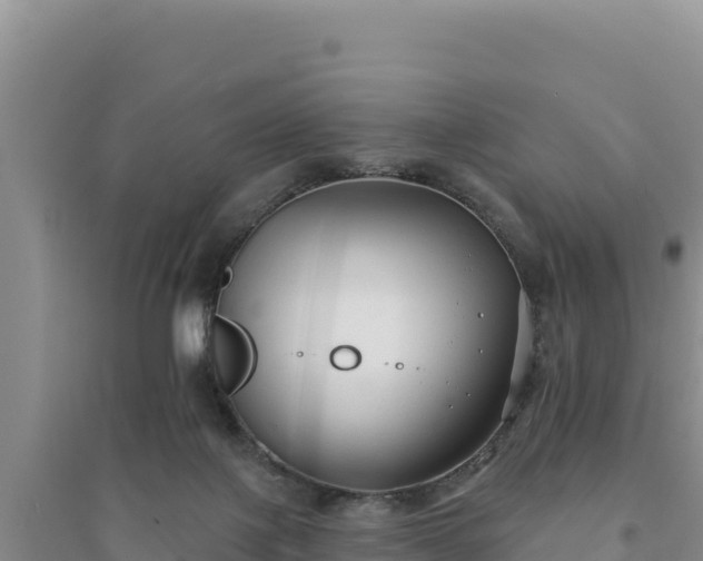 X0000094350075200711091502