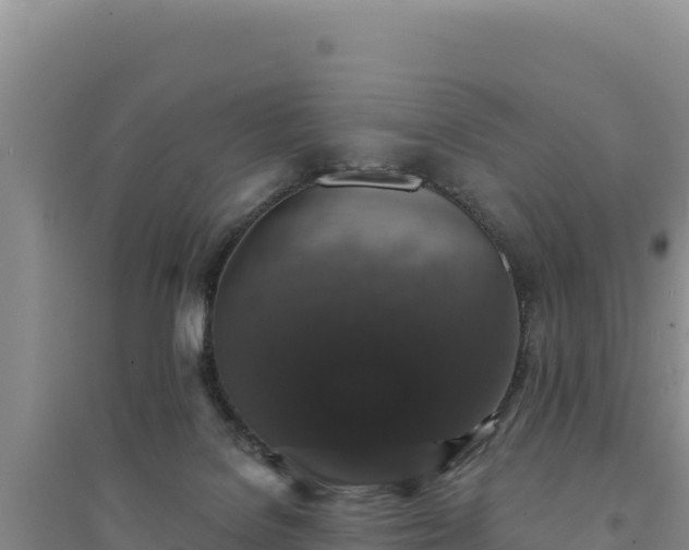 X0000094350076200711091502