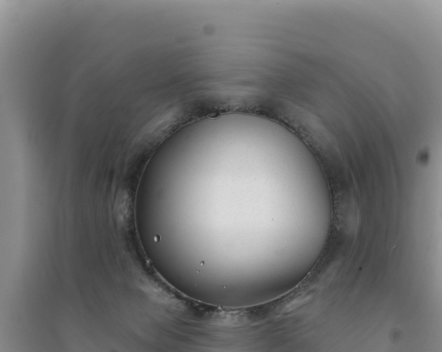 X0000094350077200711091502