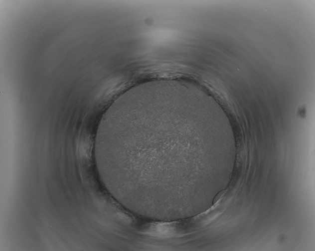 X0000094350078200711091502