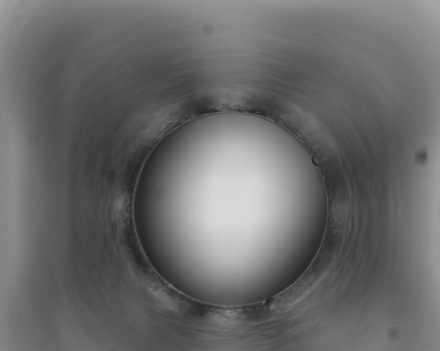 X0000094350079200711091502