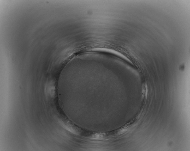 X0000094350080200711091502