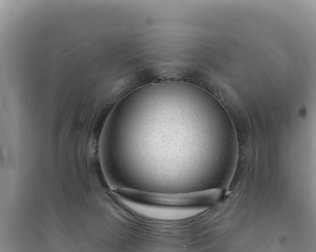 X0000094350081200711091502