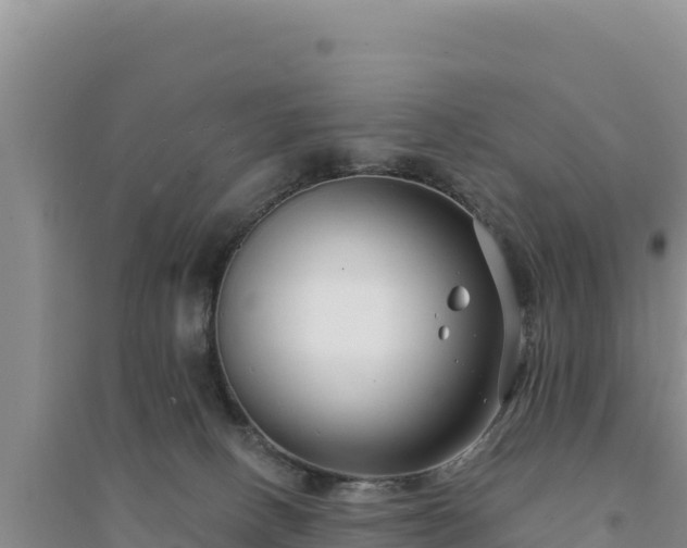 X0000094350082200711091502