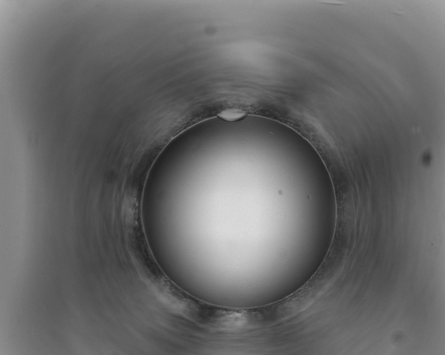 X0000094350083200711091502