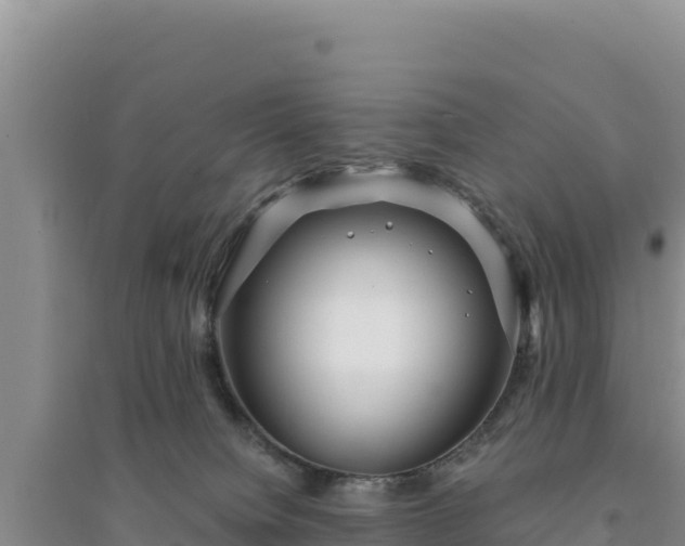 X0000094350084200711091502