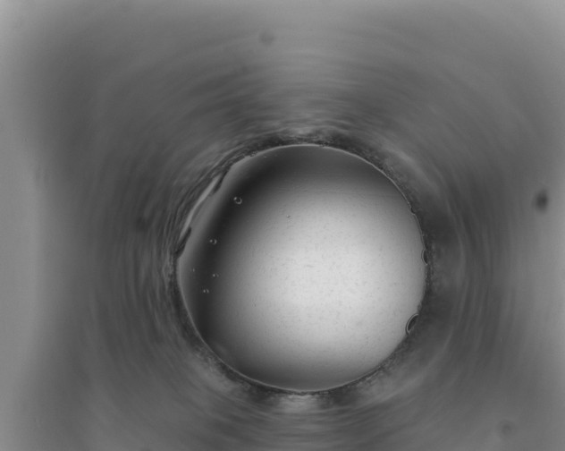 X0000094350085200711091502