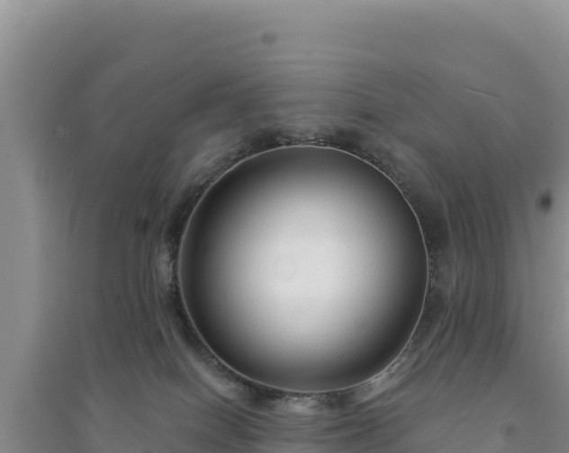 X0000094350086200711091502