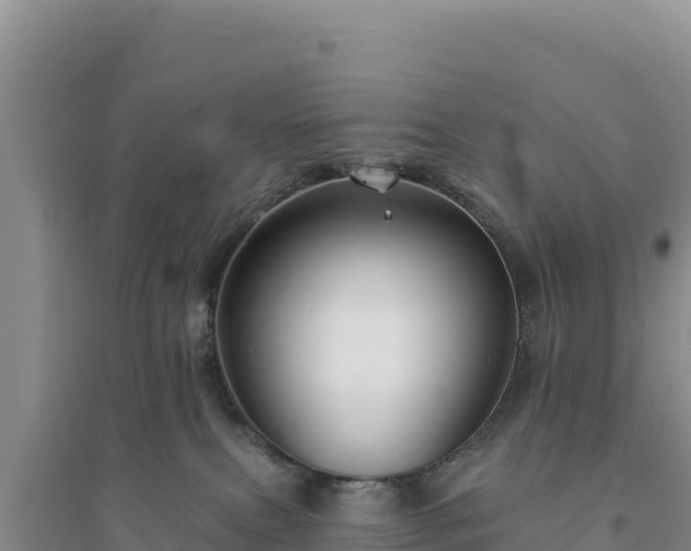 X0000094350087200711091502