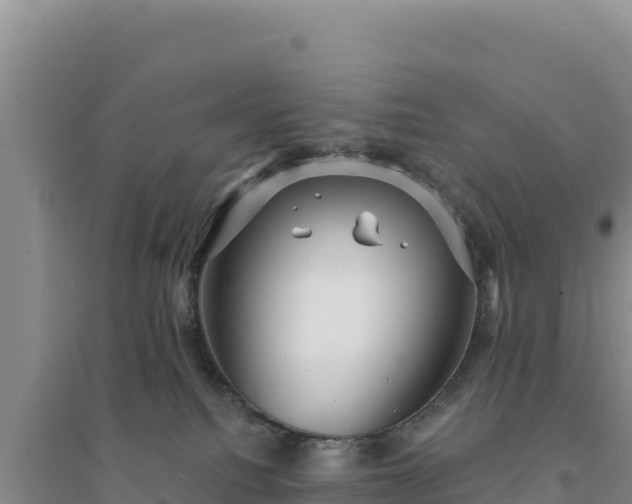 X0000094350088200711091502