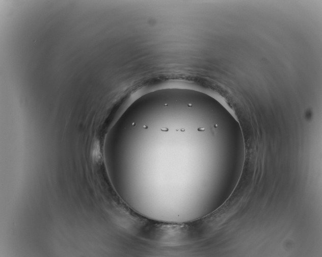 X0000094350089200711091502