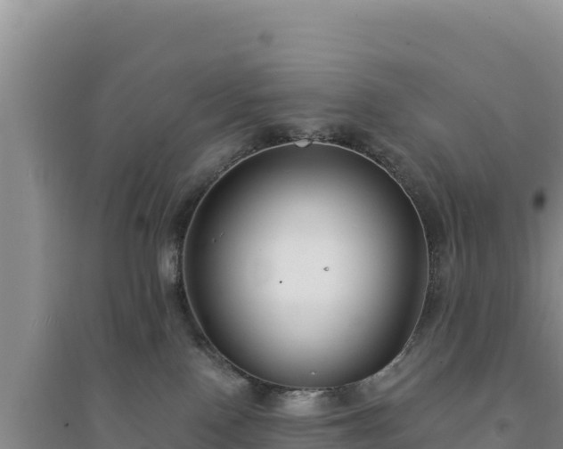 X0000094350090200711091502