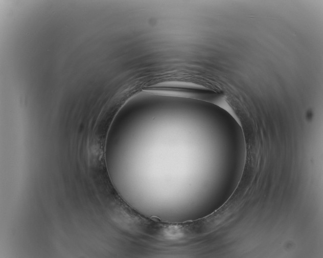 X0000094350091200711091502