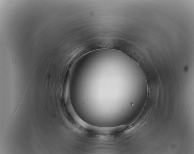 X0000094350092200711091502