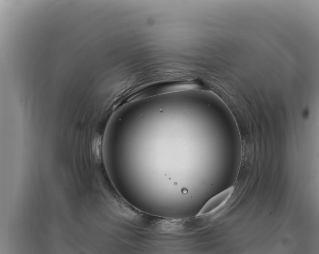 X0000094350094200711091502