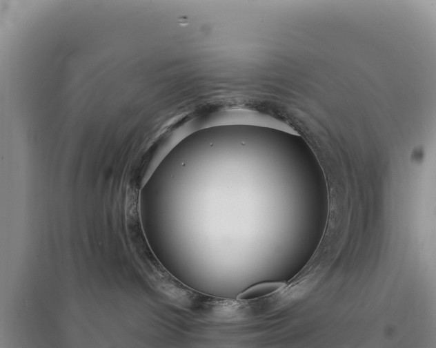 X0000094350096200711091502