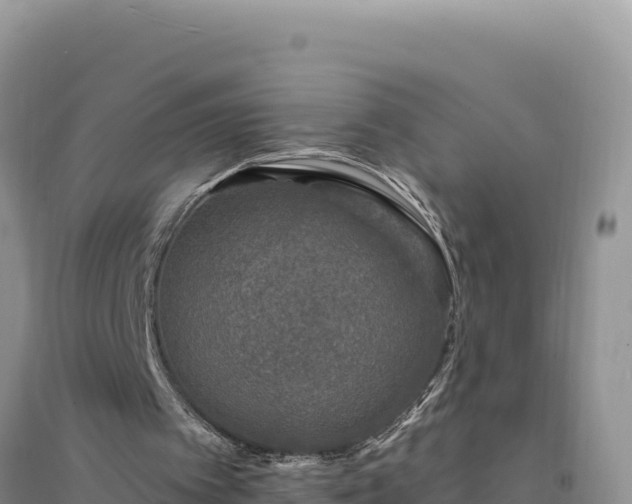 X0000094350097200711091501