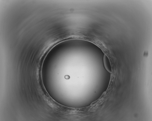 X0000094350098200711091501