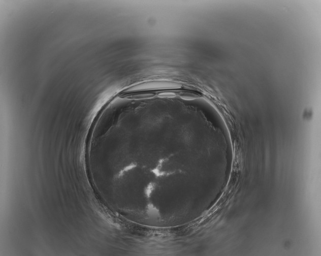 X0000094350099200711091501