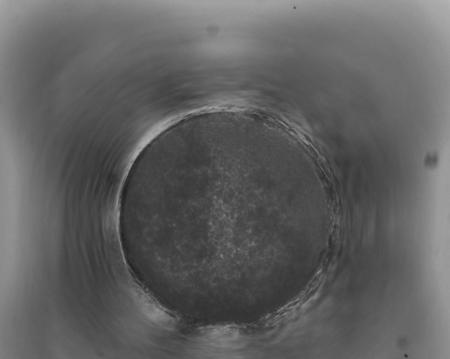 X0000094350100200711091501