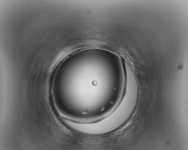 X0000094350101200711091501