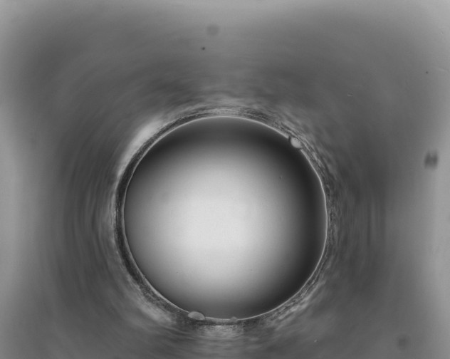 X0000094350102200711091501