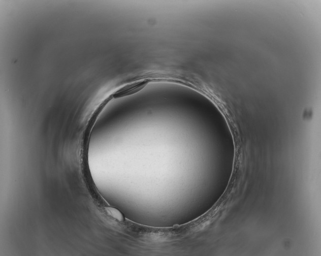 X0000094350103200711091501