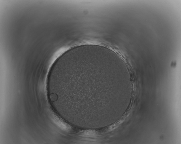 X0000094350104200711091501