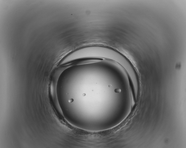 X0000094350105200711091501