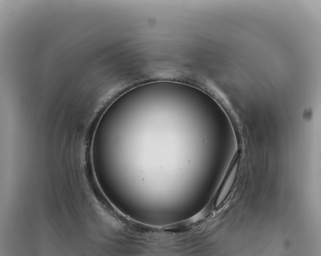 X0000094350106200711091501