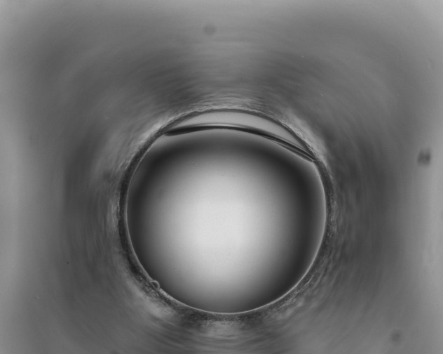 X0000094350107200711091501