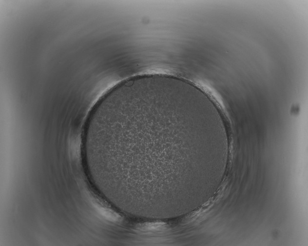 X0000094350108200711091501